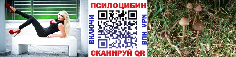 цена   Харовск  Псилоцибиновые грибы Magic Shrooms 