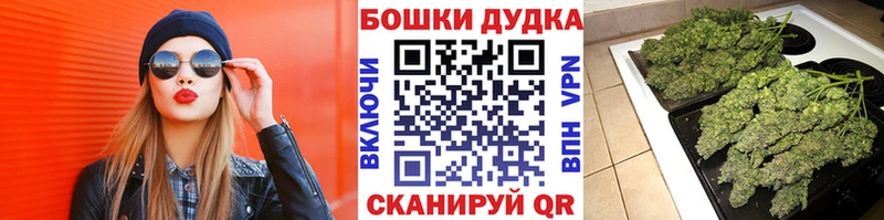 Марихуана Bruce Banner  где найти   Харовск 
